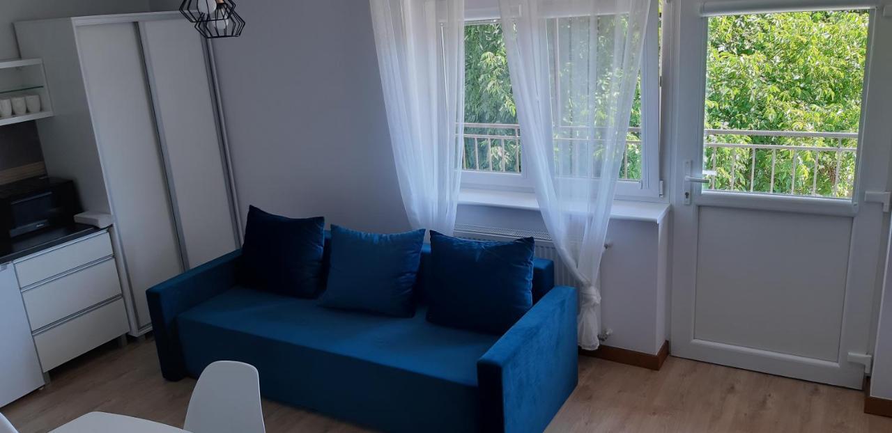 מיצ'יצ'ניו Apartamenty Gosciniec Re-Max מראה חיצוני תמונה