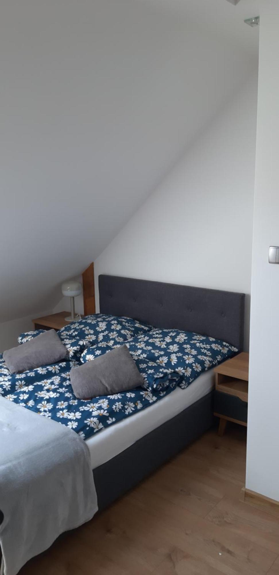 מיצ'יצ'ניו Apartamenty Gosciniec Re-Max מראה חיצוני תמונה