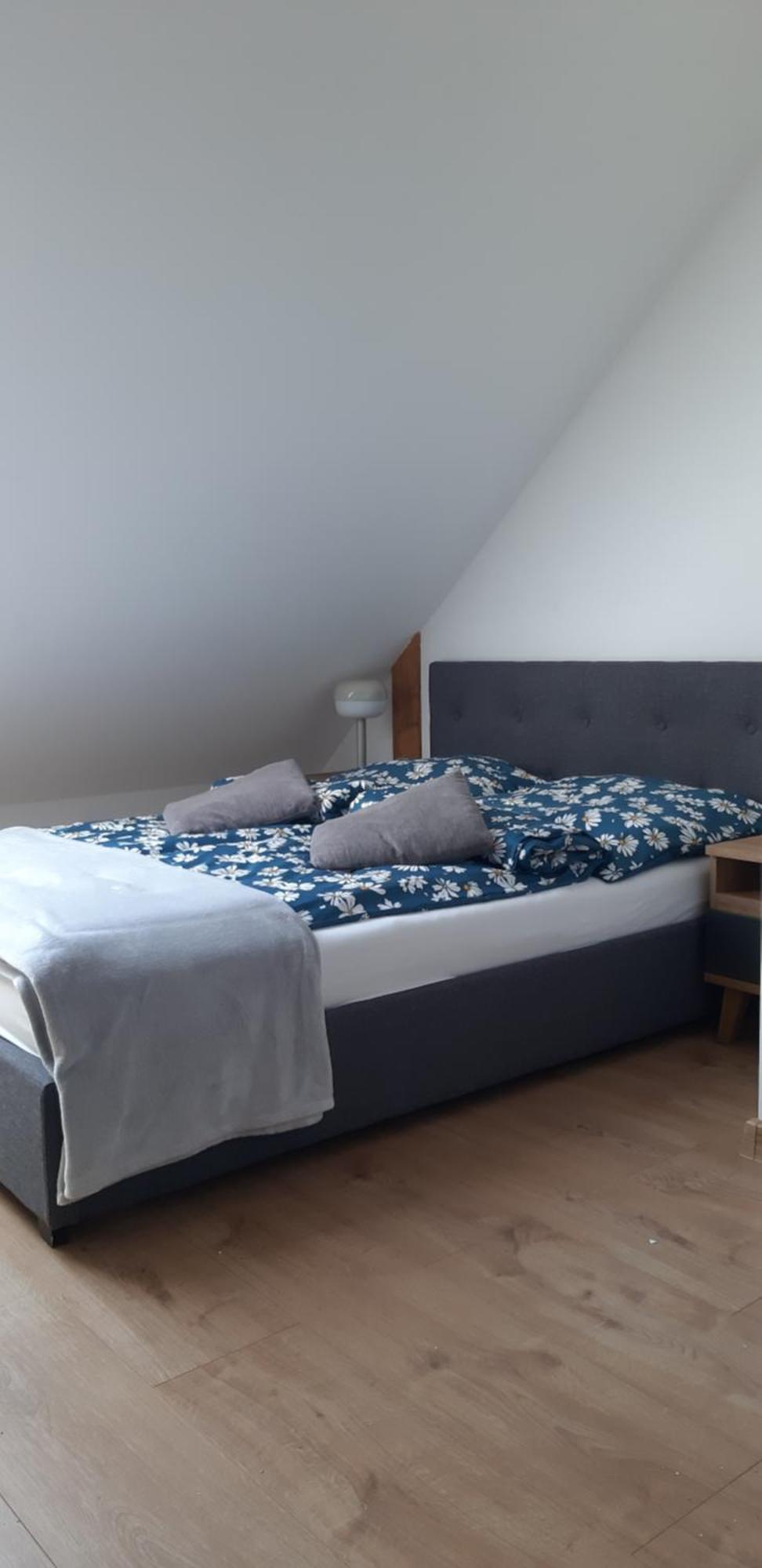 מיצ'יצ'ניו Apartamenty Gosciniec Re-Max מראה חיצוני תמונה